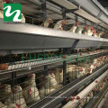 Factory Price Professional automatic chicken Broiler battery cage system for sale